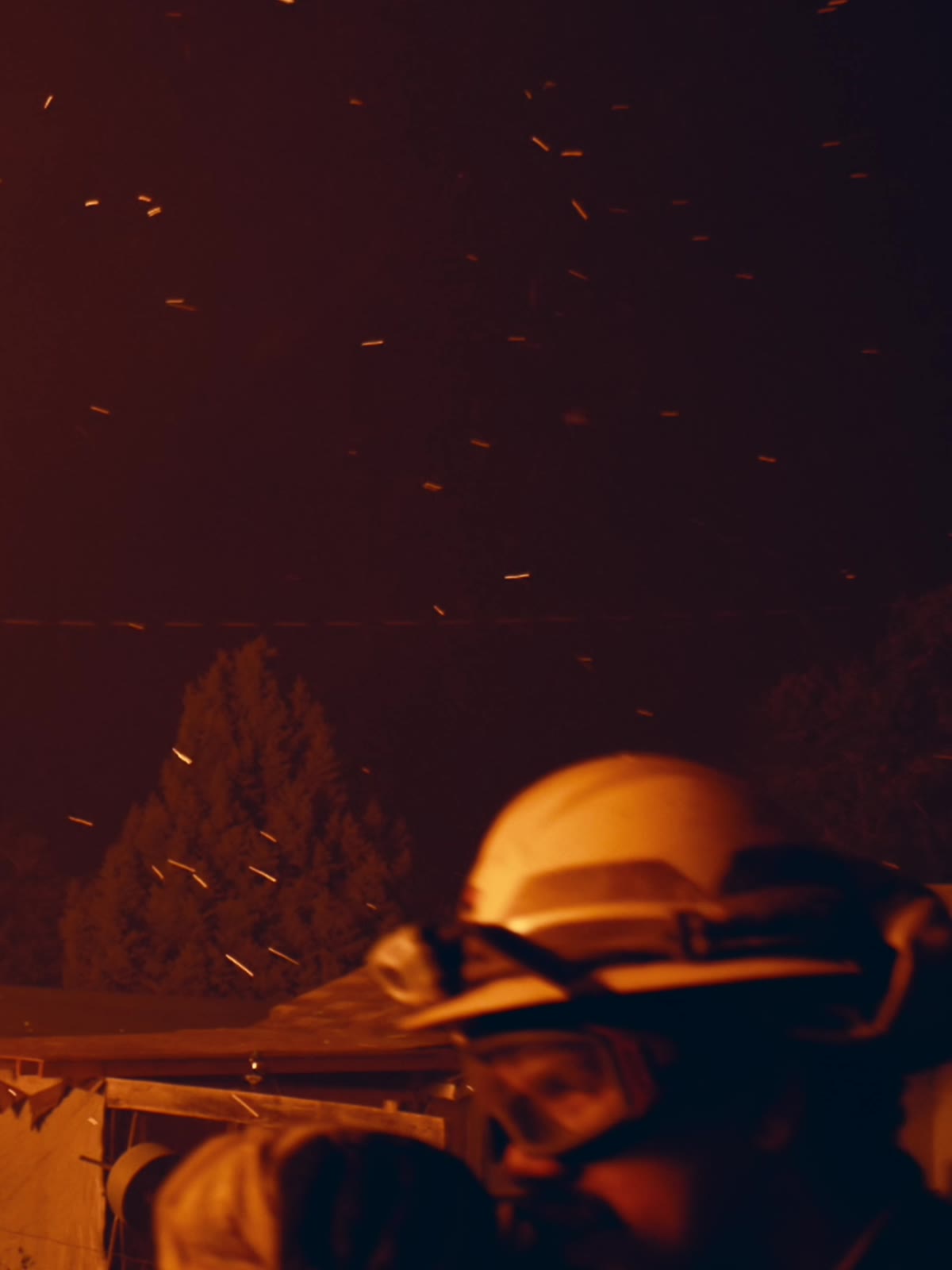 Fireline: The crew · Portrait
